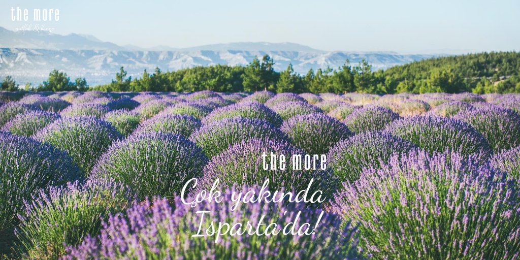themoreconcept's tweet photo. The More çok yakında Isparta'da! 

#themore #gurmemutfagi #orge #orgegrup #themoreyoufeel #kitchen #mutfak #banyo #kapı #calisankadin #kadinmutfagi #pratik #modern #havali #kullanisli #yeni #sube #isparta https://t.co/DIZ0ljaX1G
