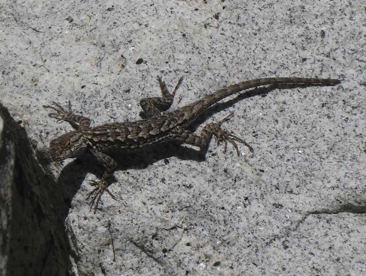 Alastair Driver tweet media