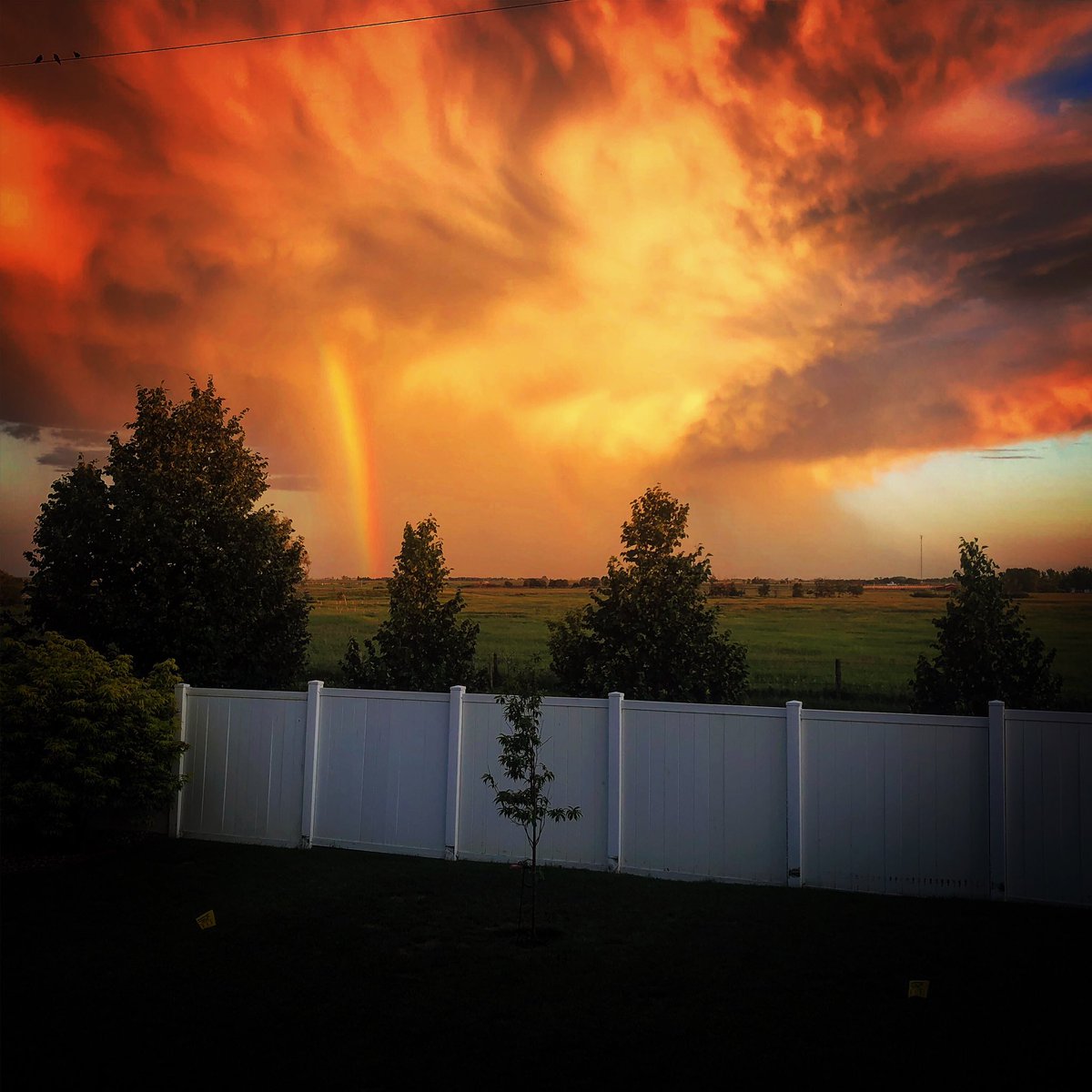 Little storm passing through just south of Carnduff Sk. Pot of gold appears to be at the local dump. #skstorm #backyardviews