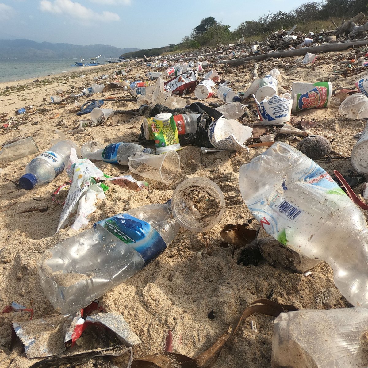 4ocean tweet media