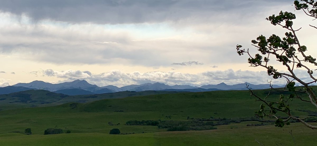 If you are going to be in awe of how difficult life can be somedays...it’s ok to be in awe of how beautiful it can be as well...POTD