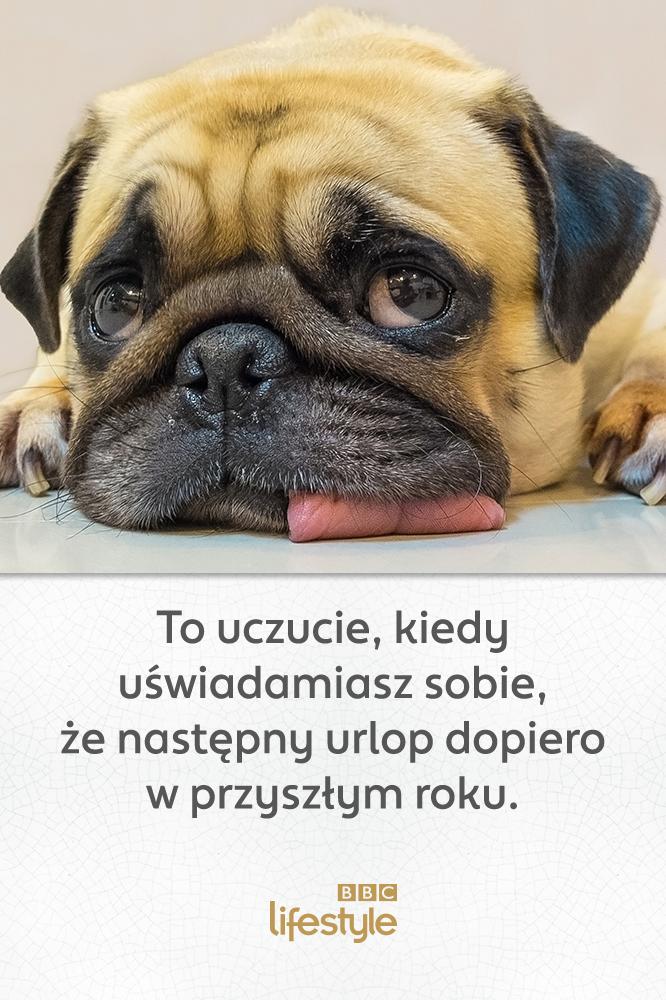 Chlip, chlip ;(
#urlop #wakacje #BBCLifestyle