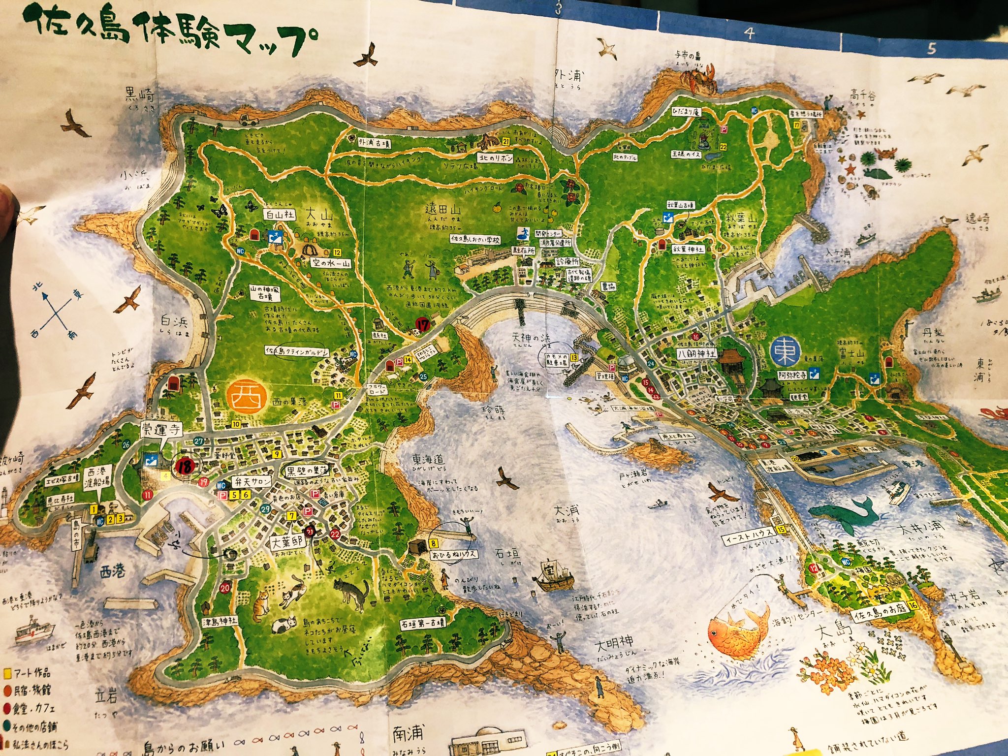 小林希 御船印めぐりしよう 島 を巡るとき 必ず地図があれば貰うんですけど 地図ってのもいろいろあって これはいいなぁ と思ったのは佐久島 絵もいいし ざっくりしてるけど実用的でした 猫も描いてあるし パッとみて 島旅心がくすぐ