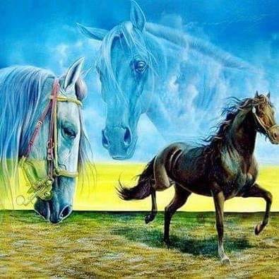 meshal334455's tweet image. يا من سقاني لذيذ الحب من يده
إني ظمئتُ فمن للقلب يرويه

قد مسه منك داءٌ لا شفاء لهُ
وأنت وحدك دون الناسِ تشفيه

يا أجمل الناس في عيني ويا أملًا
لطالما بت في ليلي أناجيه

سأحفظ العهد إن طال البعادُ بنا
وأكتم الشوق في قلبي وأخفيه

لأن روحك في جنبي ساكنةٌ
فليحفظ الله قلبي والذي فيه