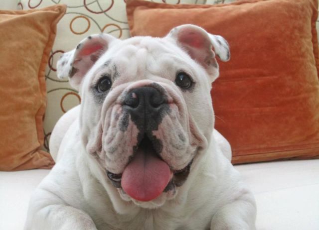 les_animaux_'s tweet photo. https://t.co/PU27y1nYiq