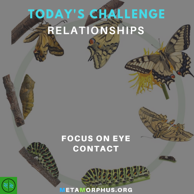 Metamorphus_org's tweet image. Today's Relationship Challenge is to focus on eye contact during conversation.

Eye contact can share a lot about whether you're being honest and engaged in the conversation. You can tell a lot from someone if they are aware.

More at metamorphus.org