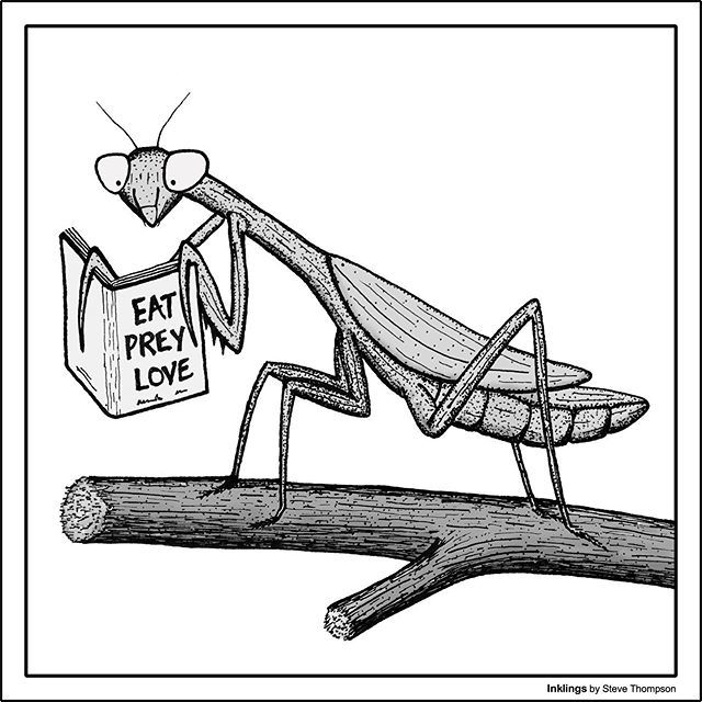 InklingsCartoon's tweet photo. For Inklings gifts visit https://t.co/wZ5k72CM1q
#InklingsCartoons
#cartoons
#CartoonDrawing
#ScienceCartoons
#AnimalCartoons https://t.co/Q4KHolmvfR https://t.co/C5V76Vn09u
