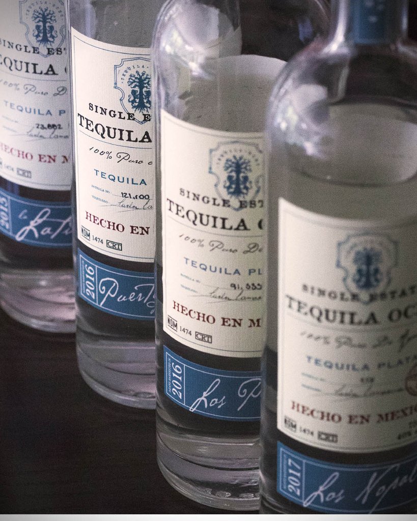Tequila Ocho tweet media