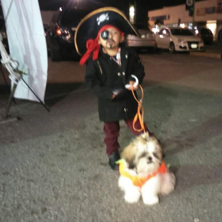 ChilangosBull's tweet photo. @TodoUnShowMX mi bebe con su amigo el buen Scrappy https://t.co/LkrorS103T