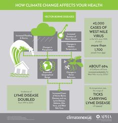 Conservation_I's tweet photo. How climate change affects your health!

#waterpreservation #oceanpreservation #deforestation #deforestationeffects #pollution #pollutioneffects #effectsofpollution https://t.co/zL1XRQLw8h