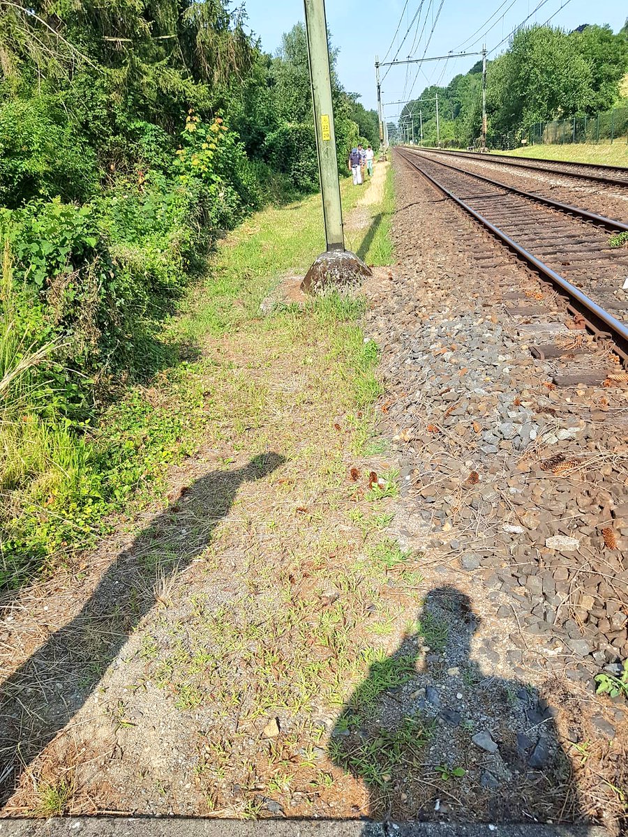 ICB'er_Loek tweet media