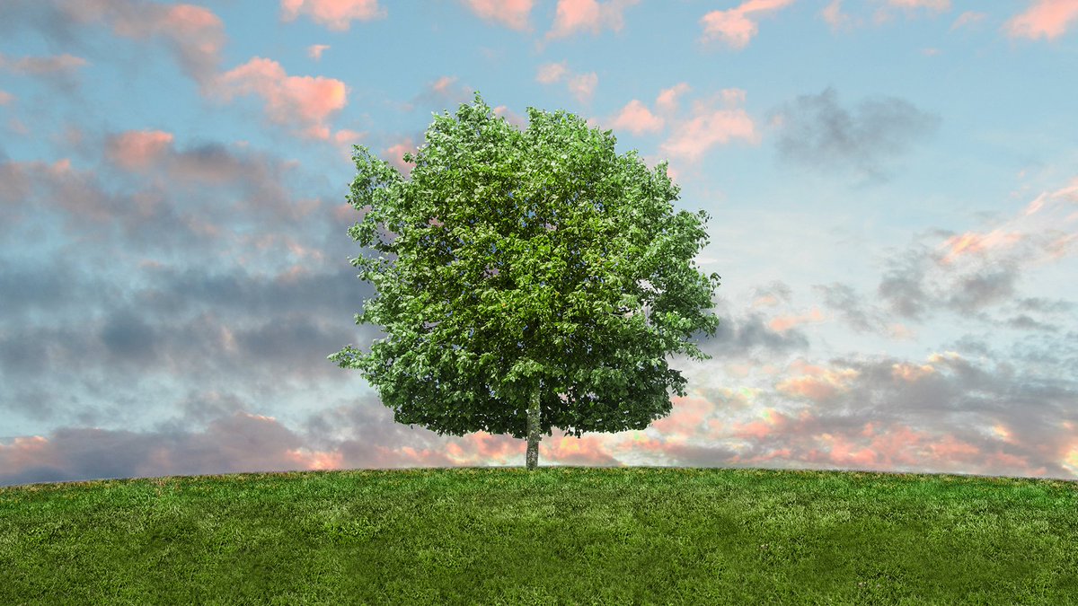 CornwallCouncil's tweet photo. We've declared a climate emergency which means we're working to help make Cornwall carbon neutral by 2030.

We're fully committed to doing what we can to tackle climate change. 

Here are 10 simple changes you can make to reduce your carbon footprint...

https://t.co/nlAqGi4Imx https://t.co/EN0Bca8Pyv