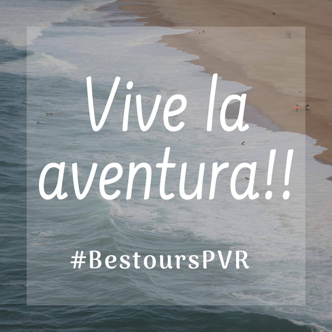 BestoursPVR's tweet photo. Síguenos en Instagram, está fácil nuestra etiqueta!! #BestoursPVR #PuertoVallarta #Tours https://t.co/QnceImmGFi
