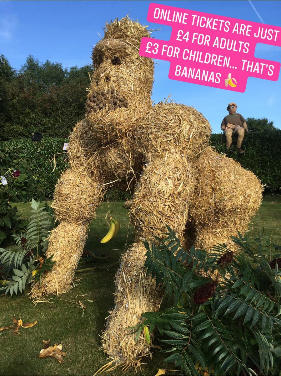 Elfordcrowfest (@elfordcrowfest) on Twitter photo 