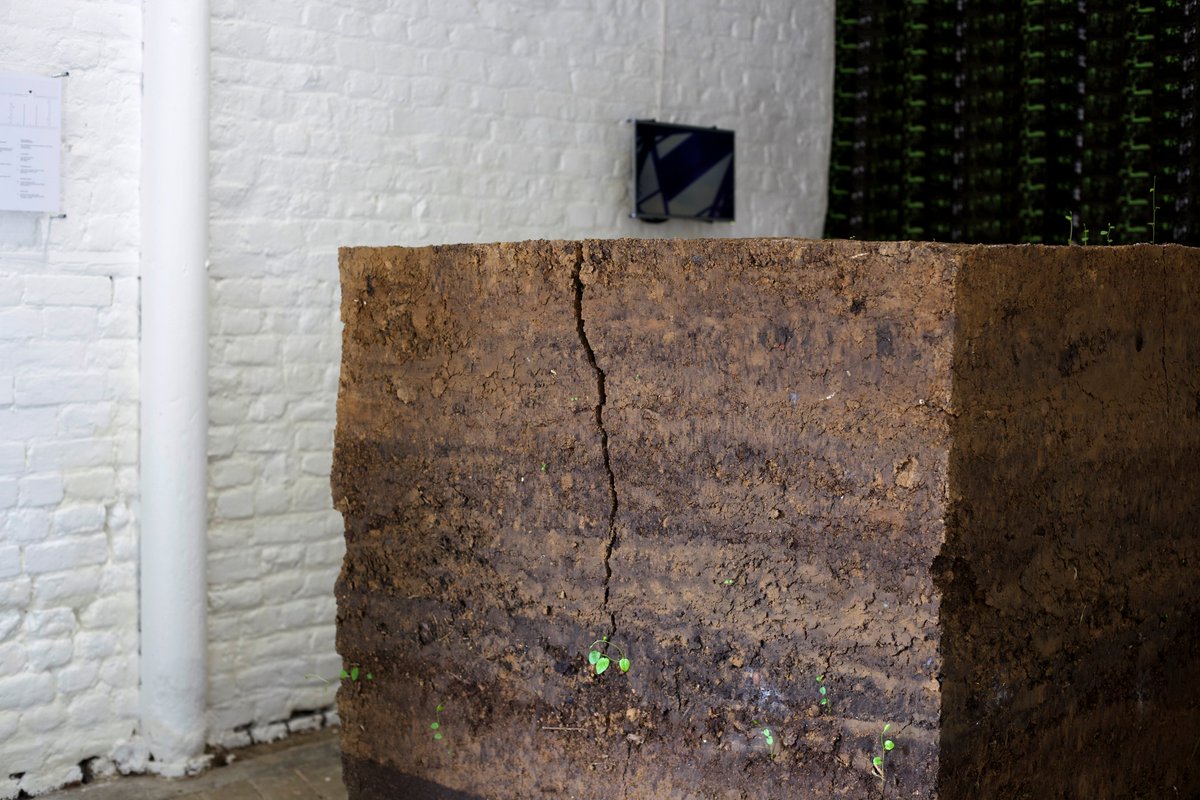 OAN_HQ's tweet photo. AN OTHER EVENT // performance - poetry - sculpture - video - installation // 17.08.2019 @GoodnestonePark @ArtRabbit #other #74Years tickets available here: https://t.co/u4du6UVfAe https://t.co/c6Y7hm5IgW