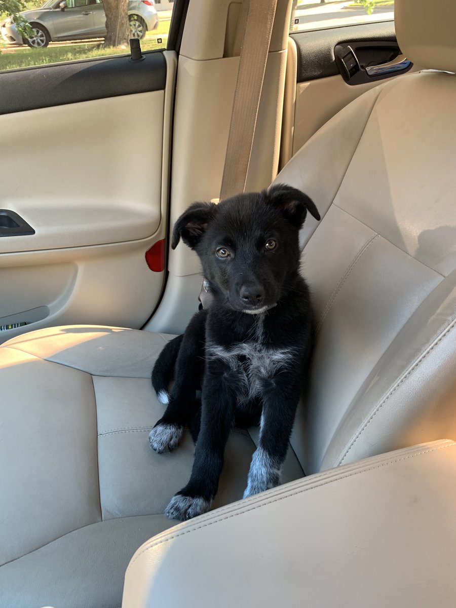 ChristianWynd's tweet photo. baby on board 🖤 https://t.co/0QeLca9zNG