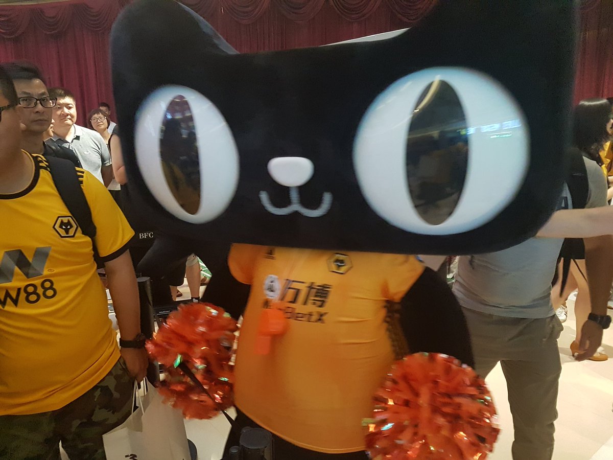 chopperh999's tweet photo. "They all seemed as bewildered as me to be honest โ except Boly who looked like a man in a ketamin trance. Maybe he'd seen our new cat / hammerhead shark morph of a mascot" #wwfc #WolvesFC #wolvesinshanghai #wolvesaywe https://t.co/lGDEWdC41j
