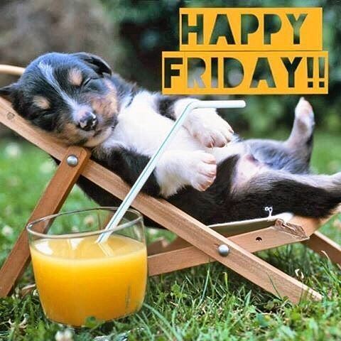 Stay Cool this weekend!!
Let <a href="/TheRoofWizardNJ/">The Roof Wizard</a> 🧙‍♂️
Clean for you 👍
609-705-0093