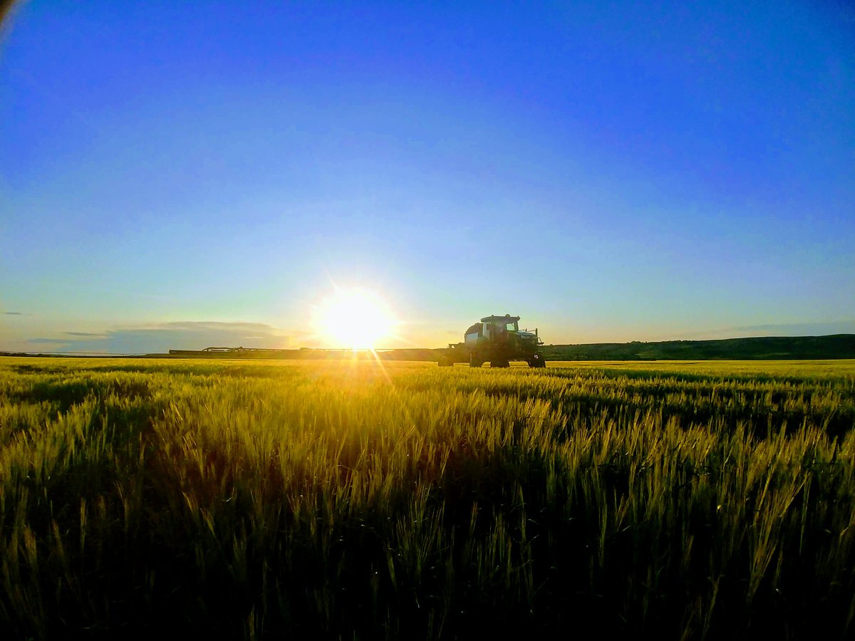 Lucas_Hofer_'s tweet photo. Tell me a different job than farming that has better scenery. I bet you can't. #lovemyjob #spraylife #farmlife #Saskatchewan https://t.co/TcqNyq6XPv