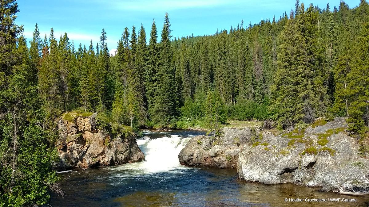 Make your voice heard: today is the last day to tell officials that Canada's free-flowing rivers must be protected. Fill out this form to show your support today! 
🌊 ✅📈  bit.ly/2Y2OZzQ