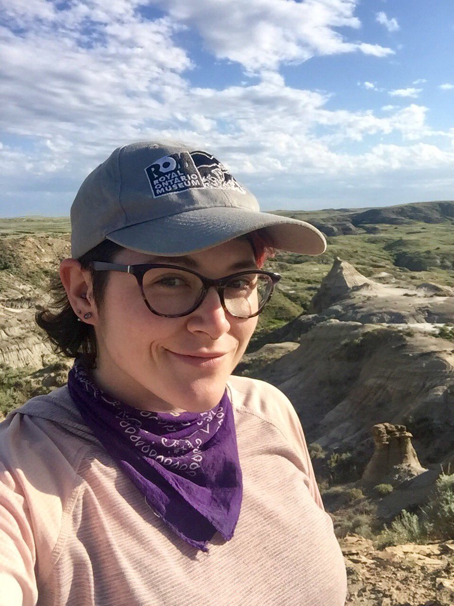 MesozoicMuse's tweet photo. Our #Trikeforce #Triceratops skull is looking better than I could have imagined. It’s disarticulated, but we’ve already found a brow horn, a fused nasal horn+maxill+rostral, braincase, as well as about 50% of the frill. Our big beast has a face! There’s more in there! @ROMtoronto https://t.co/tNOsUc0x2d