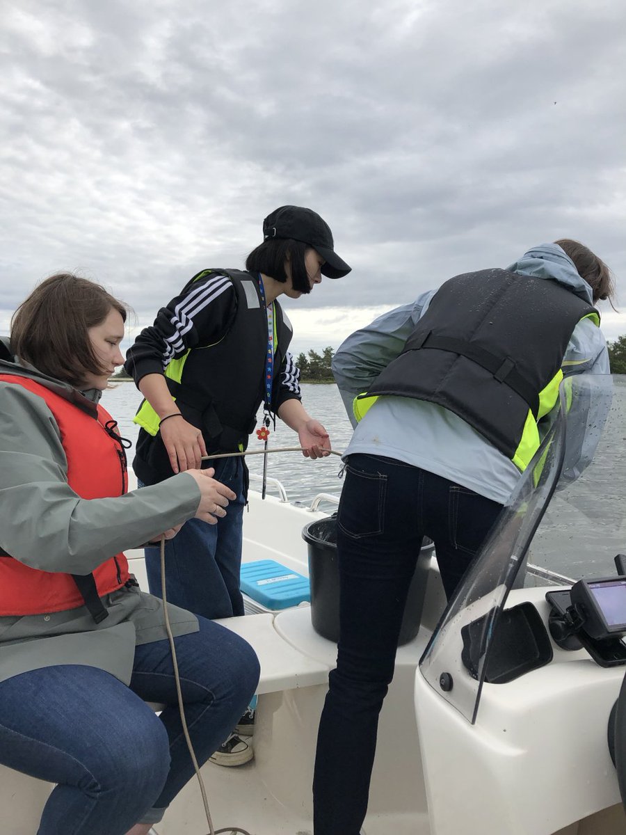 DSBaltic's tweet photo. Week 1 – Under the surface https://t.co/QmEIgWVOsb https://t.co/mfD8tYB4uO