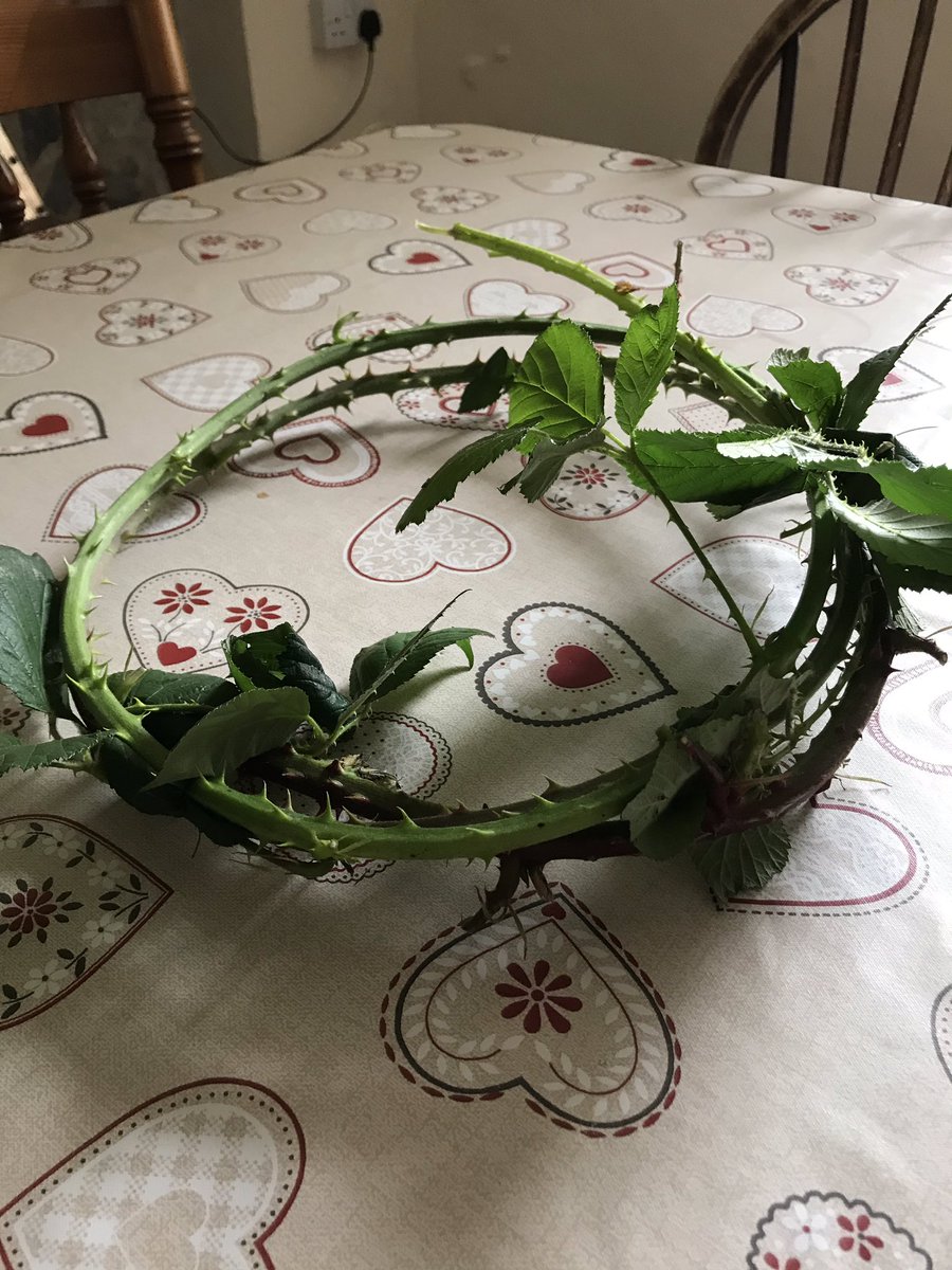 SophieWhit1982's tweet photo. Just made a crown of thorns for part of our Lord’s Prayer Pilgrimage in #stdavidscath its not brilliant, but you get the idea!! Btw it really hurts to pick it up!! https://t.co/oJZxHH8hUg