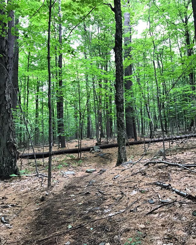 That feeling when you’re exploring a trail for the first time 😍 ift.tt/2LujY6k