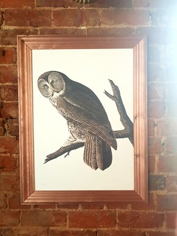 LET'S HAVE A HOOT!!

Each and every Friday here at Stag and Antelope, we know how to craft an evening with great food, amazing drinks and event better atmosphere!

...also if you like terribly captioned photos, you know where we are 😂