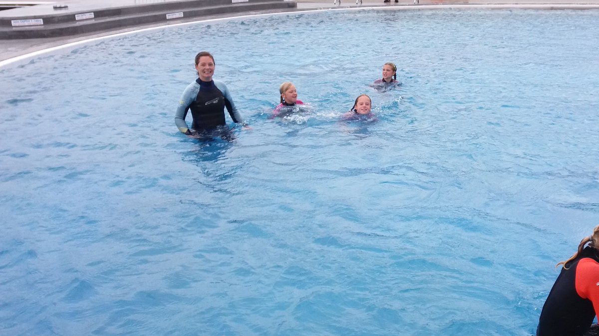 mousehole school tweet media