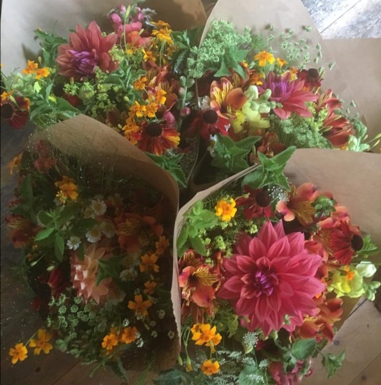 BumblebeeFarm_'s tweet photo. Colour therapy for a miserable day!! Love &amp; hugs in a bouquet 🤗 fresh delivery to @DonnybrookFair
This morning to help brighten your day 💐🦋🐞🐝💓 #scentsofsummer #whosyourhoney
#ethicallygrown #sustainable https://t.co/pVxaUHzuud