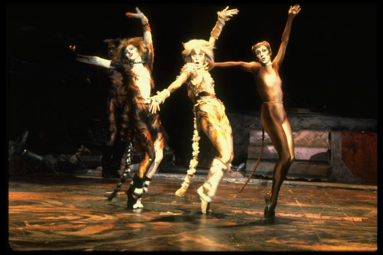 Image from CATS on  Broadway