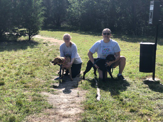 DunBradstreet's tweet photo. Dogs! ๐ถ๐
We had a great time volunteering with @HOTLabRescue! #TeamDNB #DNBDoGood https://t.co/ihYv9XSp6D
