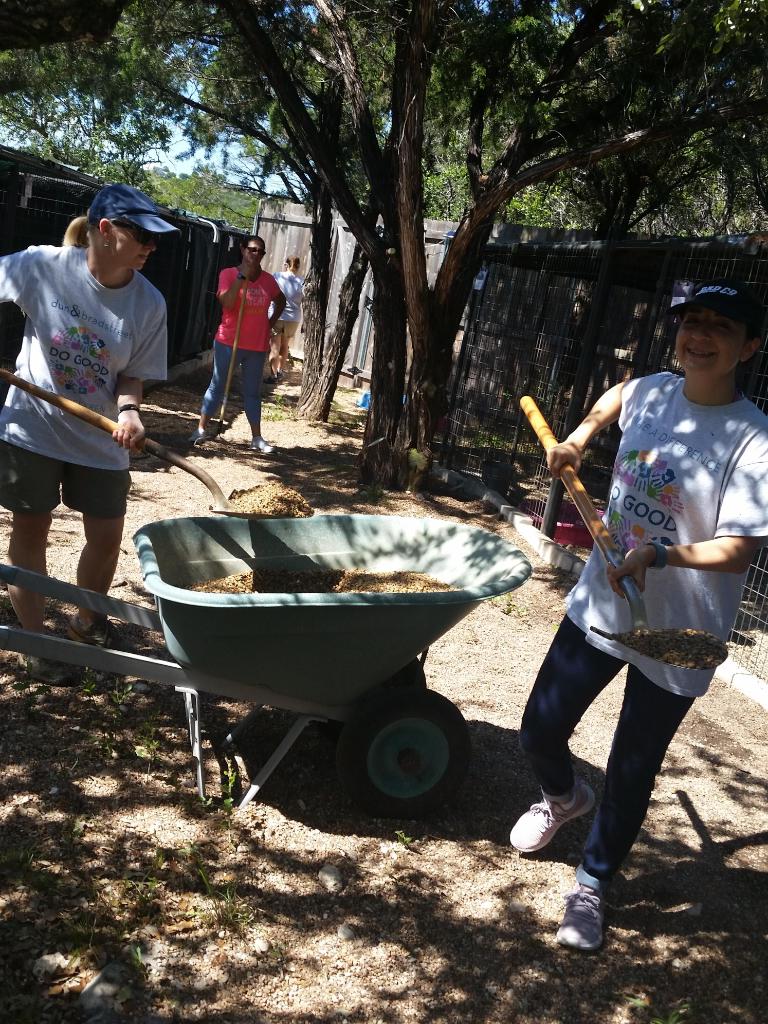 DunBradstreet's tweet photo. Dogs! ๐ถ๐
We had a great time volunteering with @HOTLabRescue! #TeamDNB #DNBDoGood https://t.co/ihYv9XSp6D