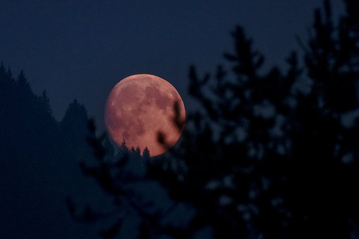 GlacierNPS's tweet photo. 50 years ago, Apollo 11 entered into orbit around the moon. That summer, Glacier NP exceeded 1 million visitors for the 1st time! We're an International Dark Sky Park, with long-term commitment to preserving dark night skies. What inspires you in the night sky? #Apollo50th https://t.co/m1I7PdsUHa