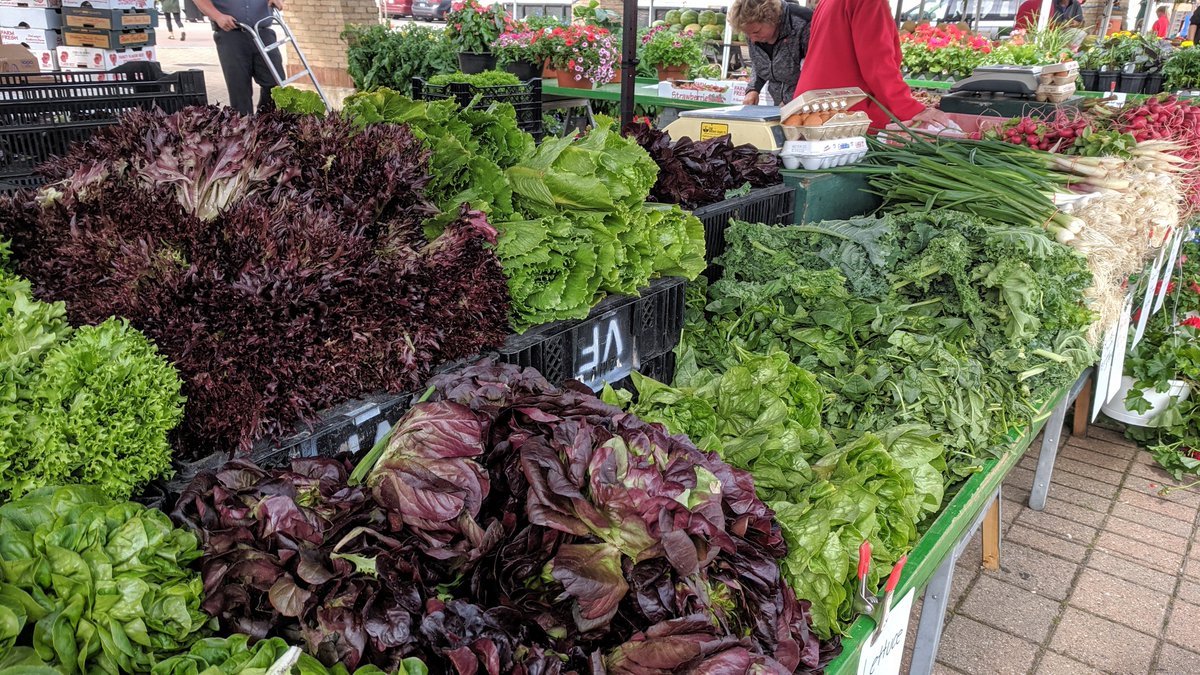 prophotoblogs's tweet photo. ProPhoto is made by a small company that believes in taking great care of its customers--and its employees. That's why each of our team members gets a complimentary CSA share each summer! 🥕🍅🥔🌽
@Visser_Farms #CSA #hollandfarmersmarket #farmersmarket #plantpowered #prophoto7 https://t.co/tezi8SP41F