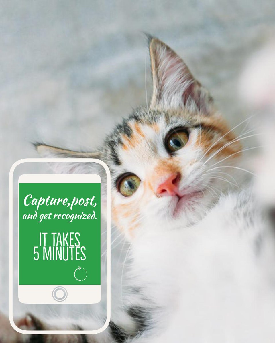 Follow_MyPets's tweet photo. Who doesn’t have 5 minutes? 📱🐕 #adorablepuppy #ilovemypuppy #app #appstore #download #love #follow #rochesterny #comment #reptiles #feedback #info https://t.co/ebISuoNZho