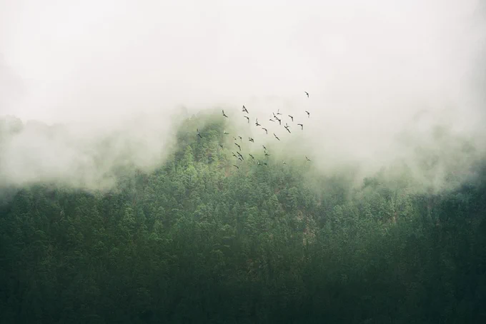 Image from Aesthetica Magazine (@AestheticaMag)
