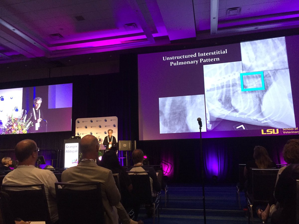 FGaschen's tweet photo. Dr. Abbi Granger helping us figuring out chest radiographs in coughing dogs in the radiology/diagnostic imaging session (room 718). Enlightening!  #WSAVA2019 #CVMAConv @VetsWSAVA @LSUVetMed https://t.co/QKUtshertV