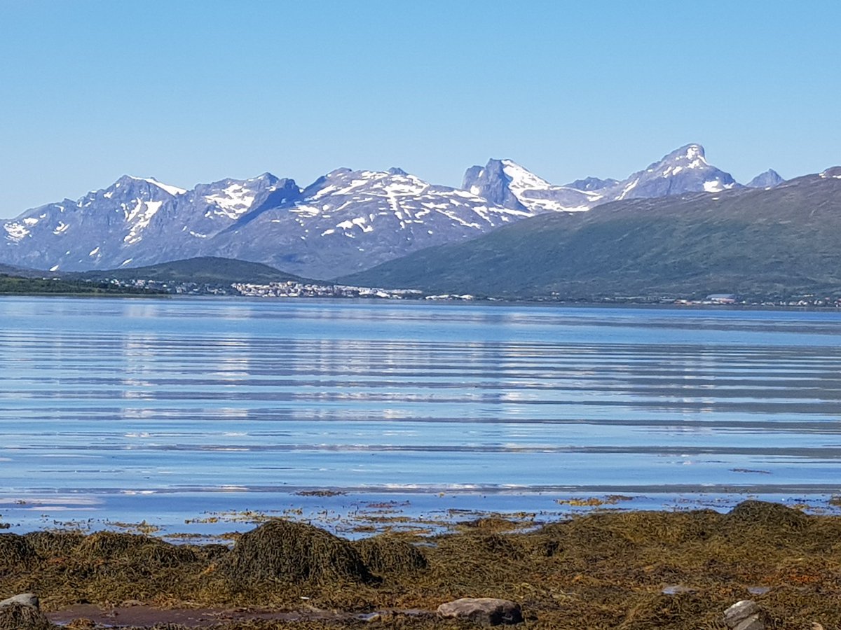 pri90trivedi's tweet photo. The beach looks like this, but I gotta go to the lab and setup my experiments....#waitingforweekend #tromso #waxproject #universityofOulu https://t.co/keDZgeOPEt