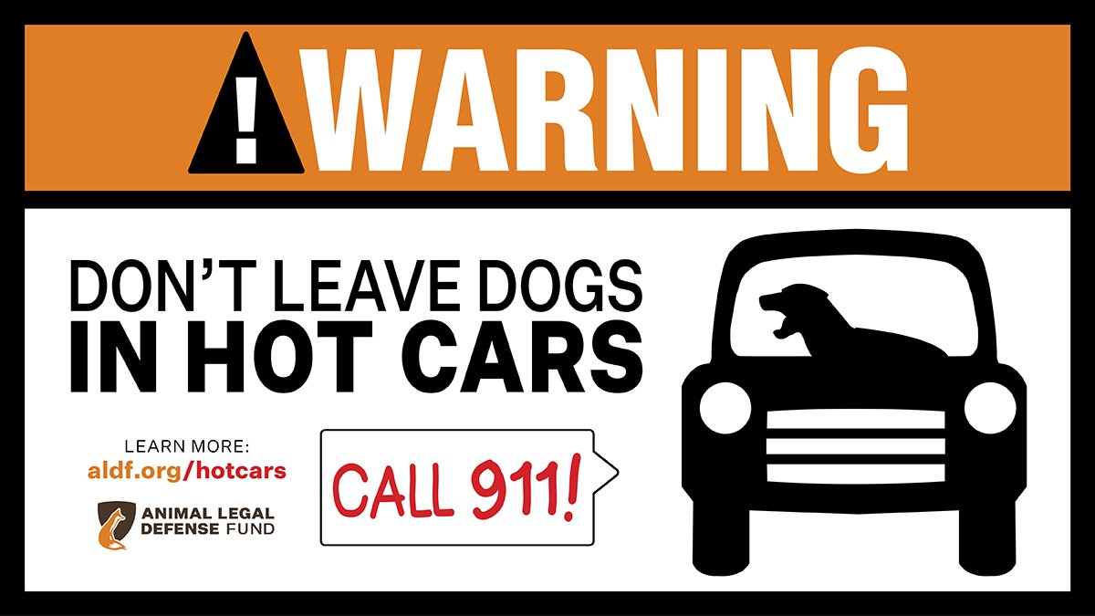 Image result for animal legal defense fund lobby