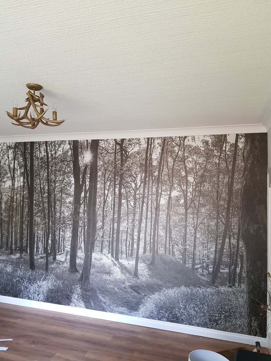 digitaldecors's tweet image. Forest wallpaper mural just fitted. #glasgow #paisley #glasgowlife