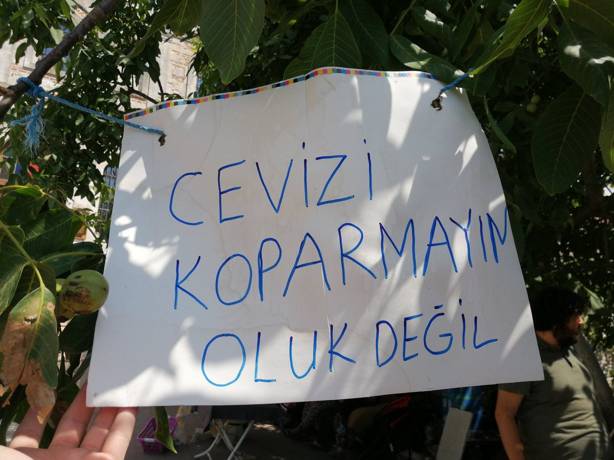 Nursev Demir (@nursevcandemir) on Twitter photo 