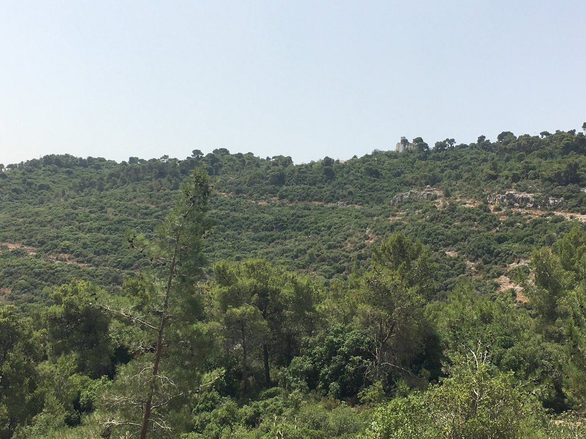 Samiah Hilo tweet media