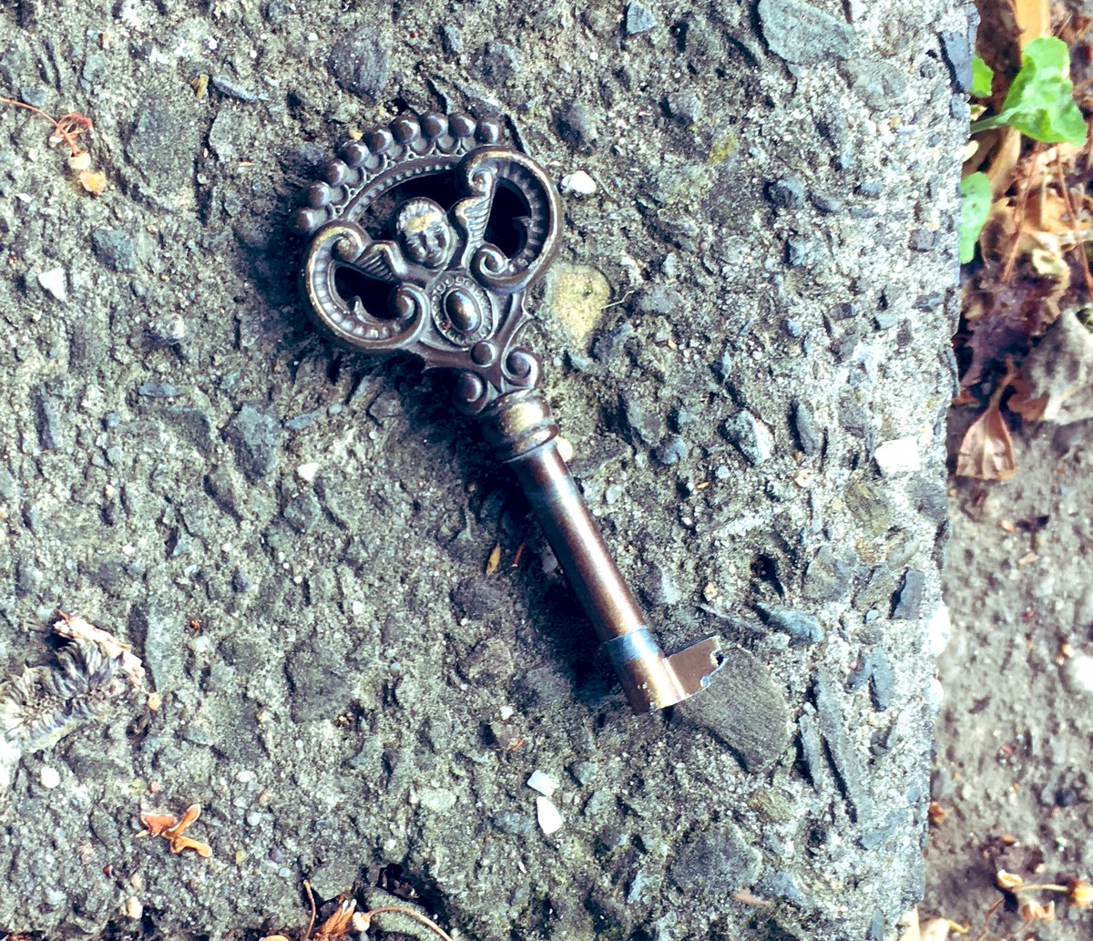 MonHomme7's tweet image. When you find an object on the ground, touch it for a few seconds hoping it to be a portkey..#HP #HarryPotter I’m sure Erol was the owl supposed to bring my letter for Hogwarts