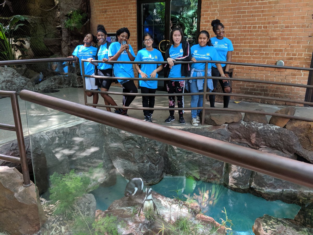 KateStockwell17's tweet photo. What a great way to end our summer math camp. The kids love the aquarium! #risdgreatness #apollogearup #STEMtastic https://t.co/d6wfeB4pP5
