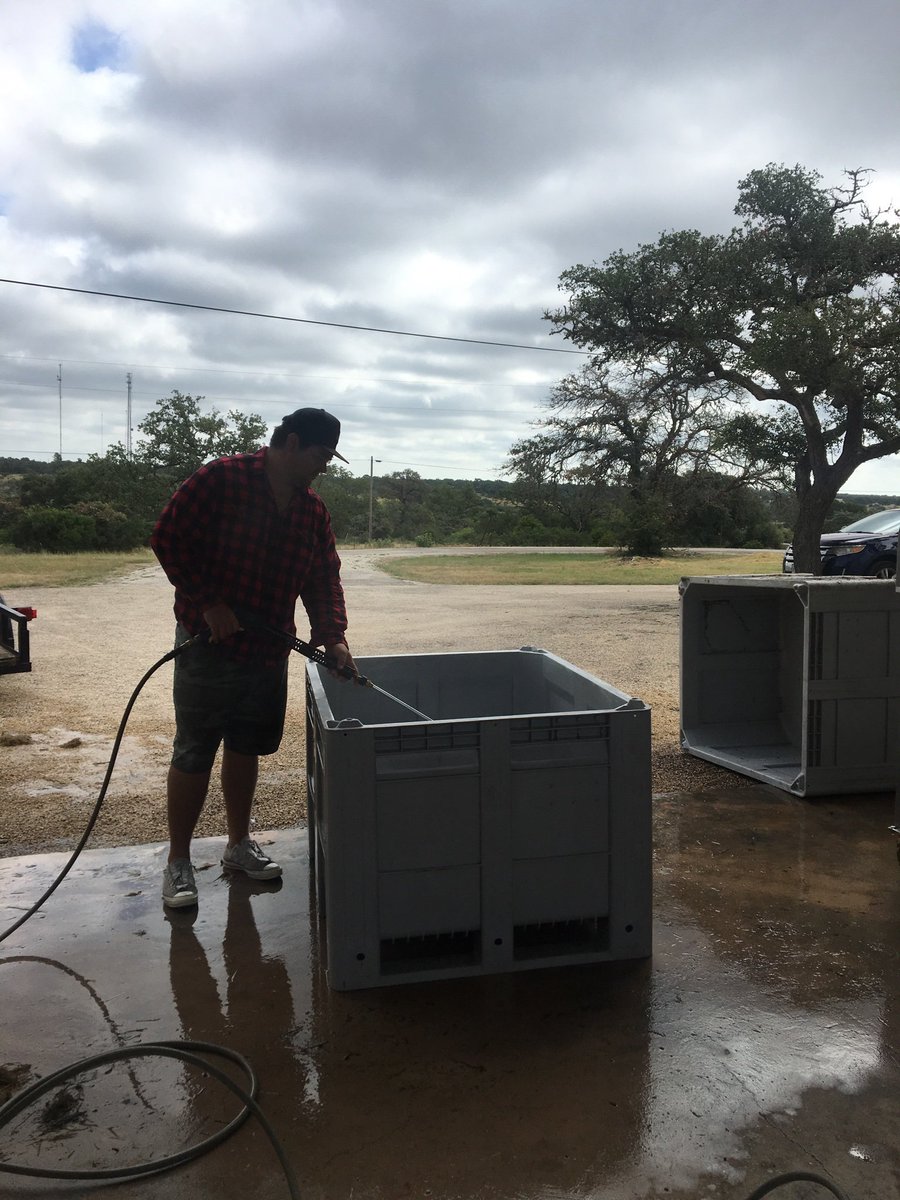 Scrub a dub dub, prepping for harvest!