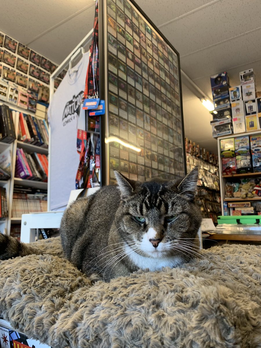 Matt’s Cavalcade of Comics tweet media