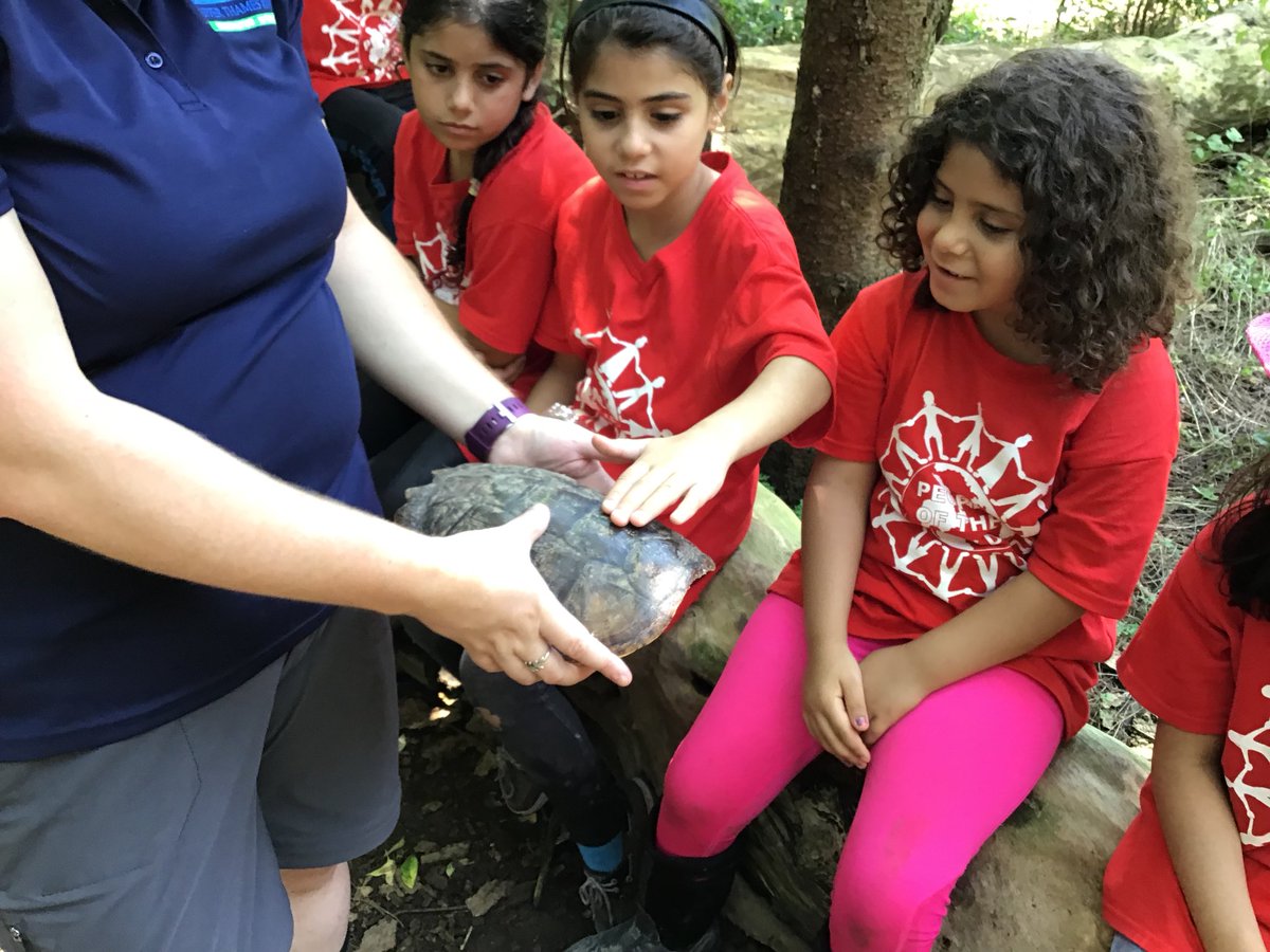 Students explored a collection of animal artifacts while visiting Fanshawe Conservation Area! We tricked <a href="/MissCuckovic/">Christina Cuckovic</a> with a skunk pelt! 🤭<a href="/EagleHeightsPS/">Eagle Heights PS</a> <a href="/ELLtvdsb/">TVDSB ESL/ELD K-12</a>