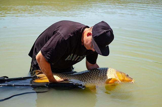 Our boy @fischerman_mike from our @navitas_switzerland crew reps our SLOE tee whilst getting one back where it belongs... ⁠
#navitasangling #navitasapparel #navitas #nvts #carp #fishing #angling #apparel #outfitters #fb